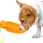 Portable Dog Water Bottle Dispenser - Leak Proof Portable Water Bowl for Dog Foldable Carrot Water Bowl Travel Silicone Pet Dispenser for Puppy Cats  Outdoor Walking, Hiking, Travel
